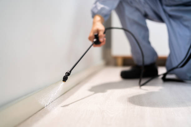 Bed Bug Pre-Treatment Preparation Assessment in Wales
