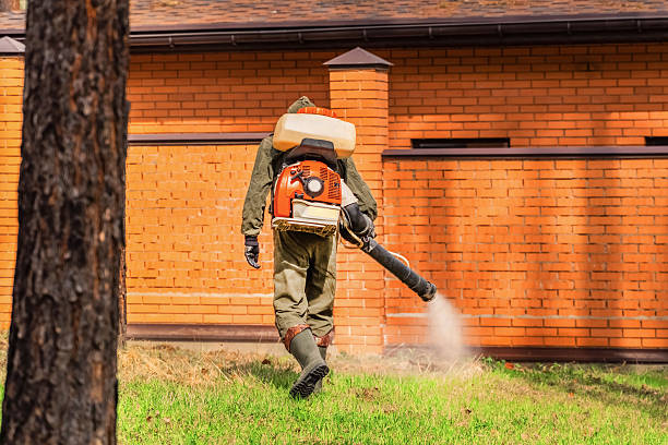 Bed Bug Clearance Verification and Documentation in Wales